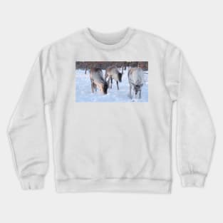 Feeding the reindeer in the snow Crewneck Sweatshirt